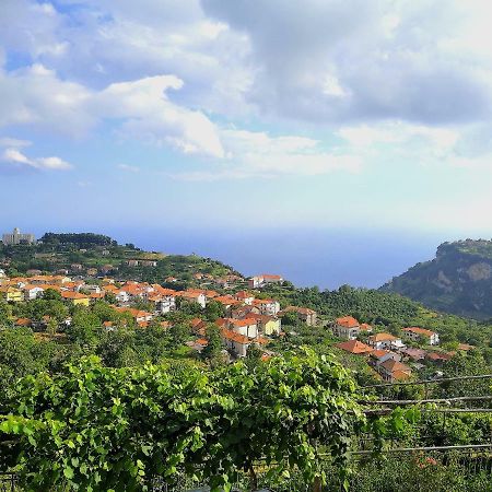 Villa Agriturismo Il Castagno Agerola Exterior foto