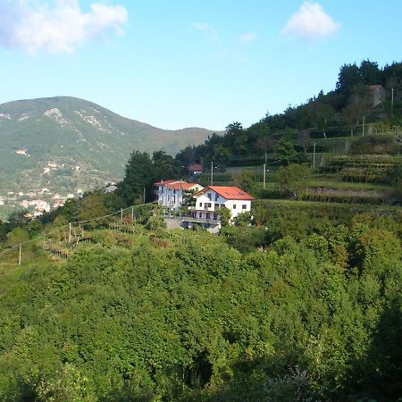 Villa Agriturismo Il Castagno Agerola Exterior foto