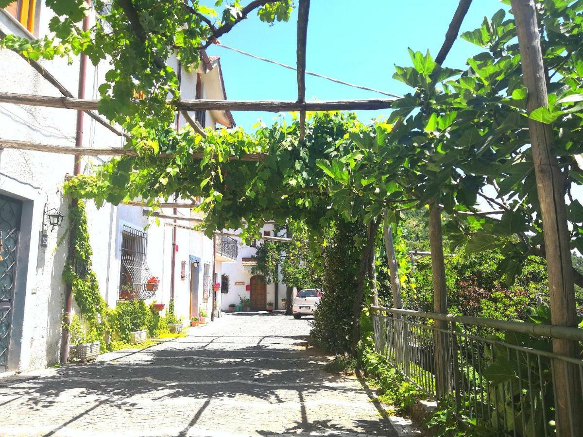 Villa Agriturismo Il Castagno Agerola Exterior foto