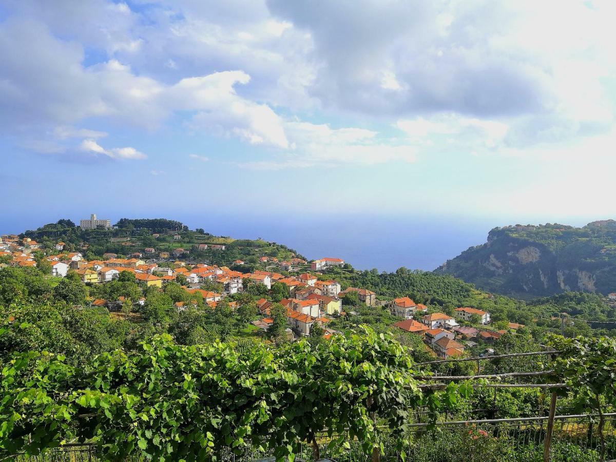 Villa Agriturismo Il Castagno Agerola Exterior foto