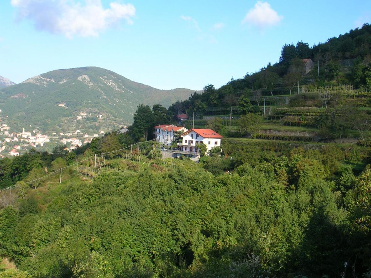 Villa Agriturismo Il Castagno Agerola Exterior foto